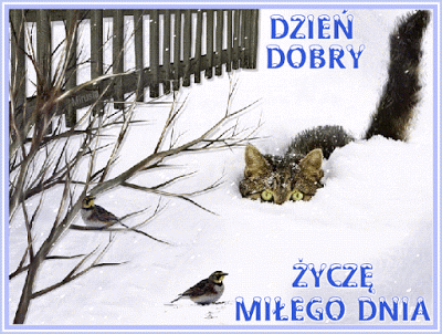 Dzień dobry miłego dnia kotek i ptaszki